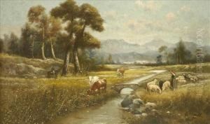 Summer Landscapes