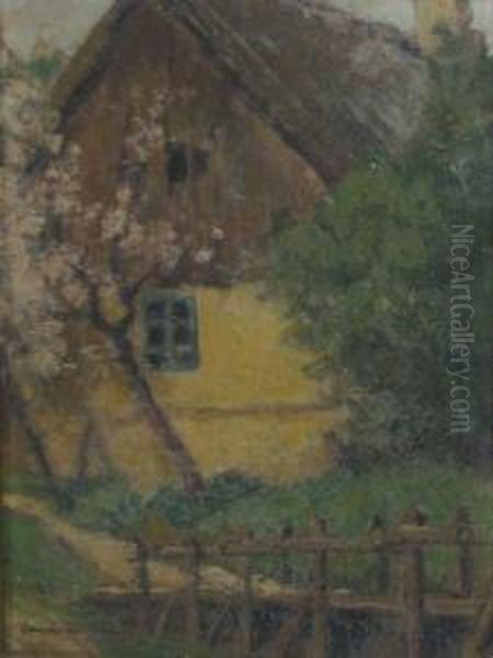Apple Tree In Blossom - view 1