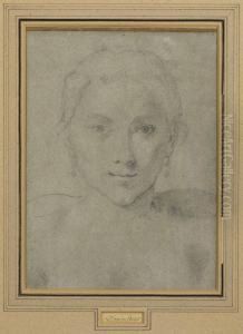 Study Of A Young Woman by Domenico Zampieri (Domenichino)