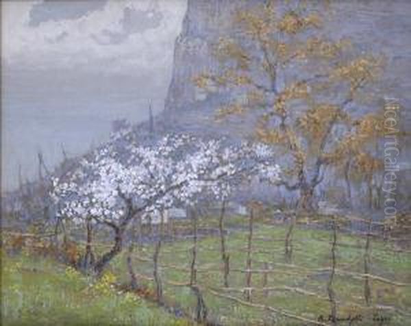 Il Pero In Fiore - view 1