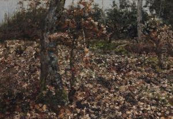 Autumn Forest - view 1