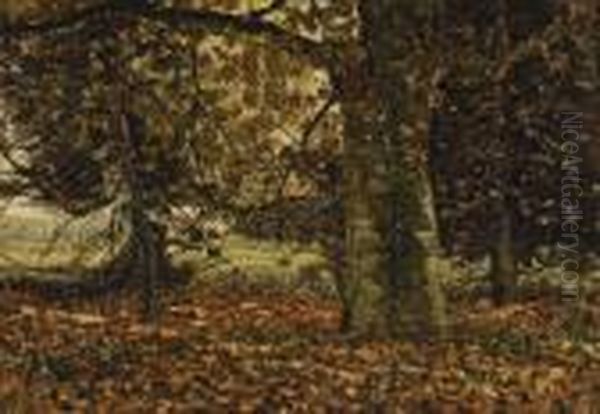 Autumn View Of A Forest - view 1