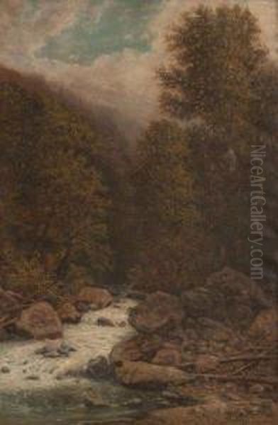 Riviere En Foret - view 1