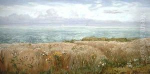 Summer on the Cliffs 1891 by John Edward Brett