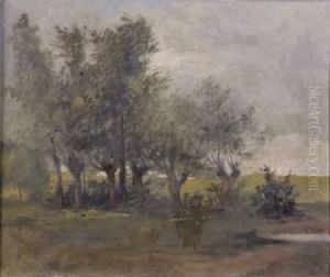 De Bosquet De Bosquet