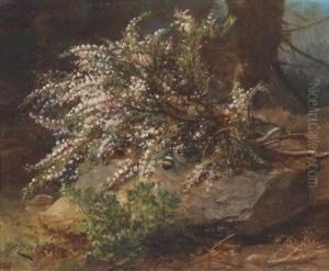 Heather And A Bumble Bee by Hans Zatzka