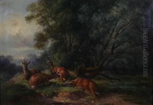 Boslandschap Met Vier Hertjes by Friedrich Zeller