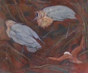 Kraniche by Fritz Zerritsch