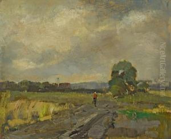 Spazierganger Auf Feldweg - view 1