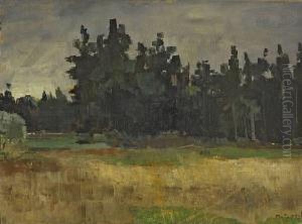 Landschaft Am Waldrand - view 1
