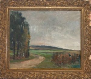 Feldweg Bei Einer Baumgruppe In Weiter, Bewolkter Landschaft by Max Zettler