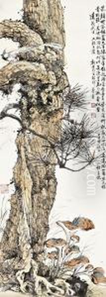 Longevity - view 1