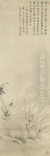 Orchid - view 1