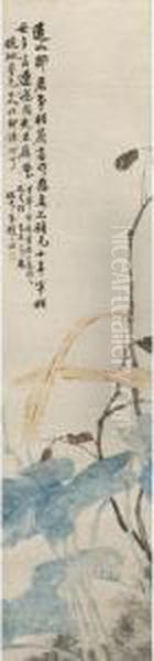Taro Flower - view 1