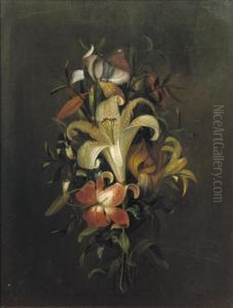 Colourful Lilies - view 1