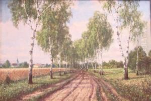 Allee Mit Birken