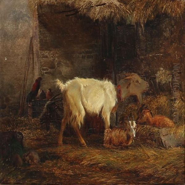 Stable Interior With Goats, Rabbits And Chickens - view 1