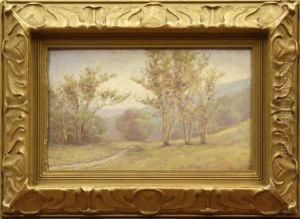 'arroyo Seco At Pasadena by Carl Zimmerman