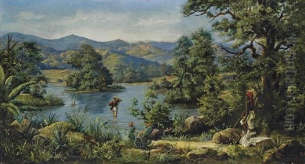 Duck Shooting In Brazil - view 1