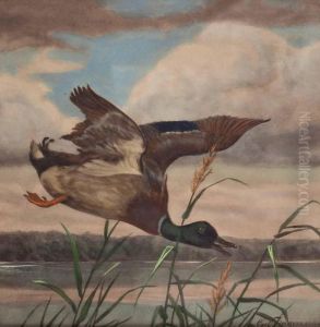 Ente Im Anflug Uber See by Carl Friedrich Zimmermann