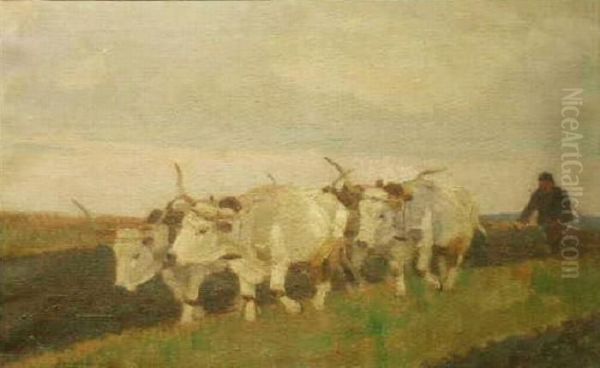 Ploughing The Field - view 1