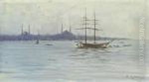 View Of Istanbul by Fausto Zonaro