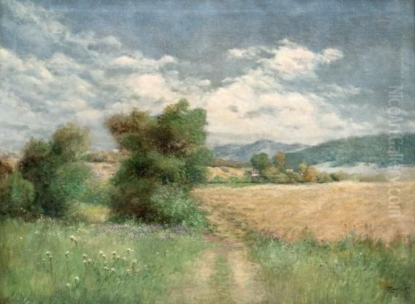 Summer Landscape - view 1
