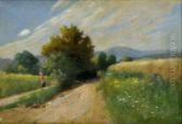 Hrabacka - view 1