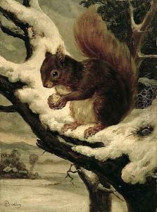 A Red Squirrel Eating a Nut