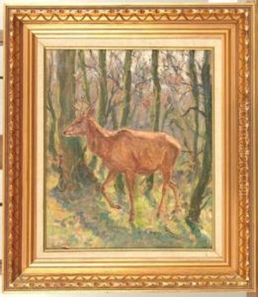 Hirsch Im Unterholz. - view 1