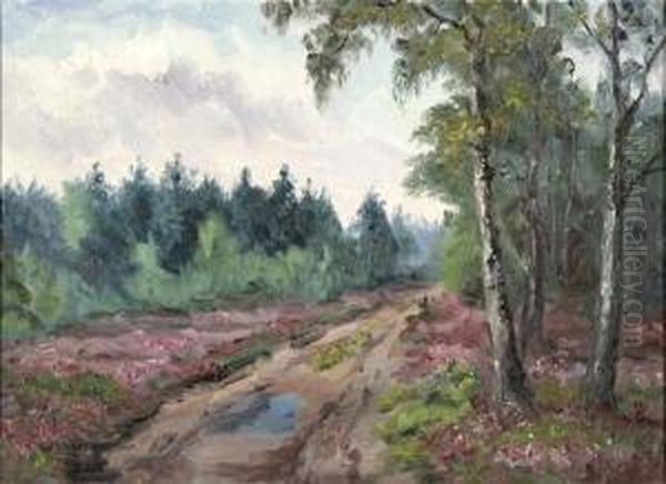 Im Teufelsmoor - view 1