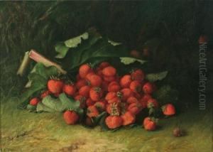 Still Life Of Strawberries On A Garden Floor
