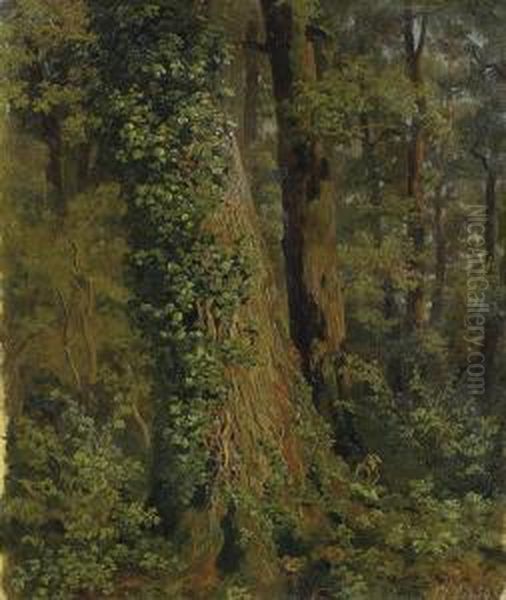 Im Eichwald - view 1