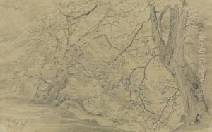Baumstudie by Robert Zund