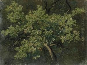 Baumstudie by Robert Zund