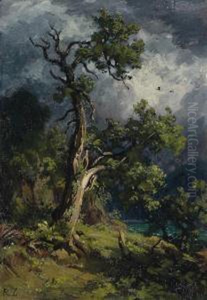 Nussbaum - view 1