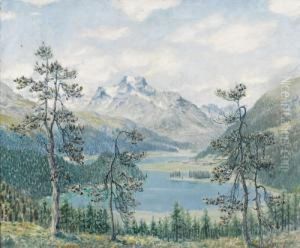 Blick Auf Den Silsersee Mit Piz De La Margna