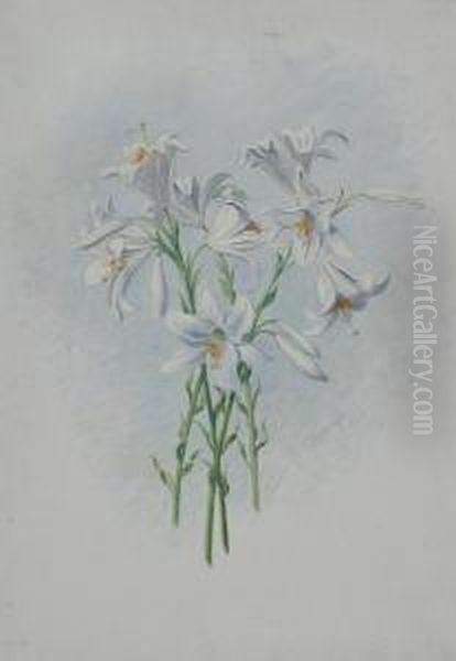 Lilien - view 1