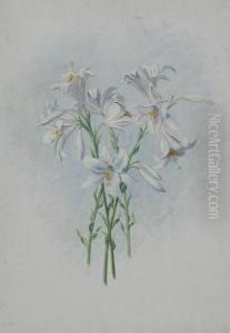 Lilien by Ernst Theodor Zuppinger