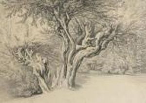 Willow Forest by Franz Bohumir Zverina