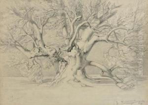 Schonbrunn by Franz Bohumir Zverina