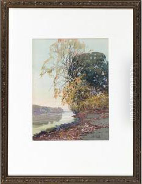 River Bank With Autumnal Trees - view 1