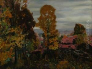 "brown County State Park" by John Zwara