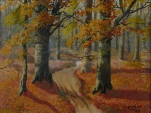 Autumn Interior Woodland Scene,
Stain In Center Of Image by John Zwara