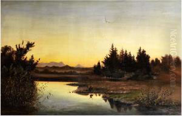 Waldlandschaft - view 1