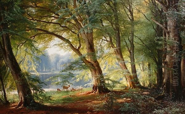 Deer Beside A Lake - view 1