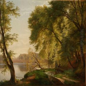 Summer Day At Alake