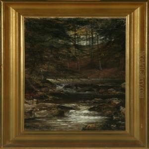 Forest Scenery With A Stream Forest Scenery With A Stream