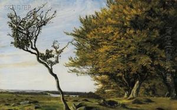 Summer Landscape - view 1