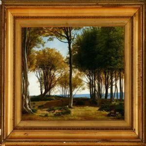 A Summer Day With A Glade And And A View To The Sea